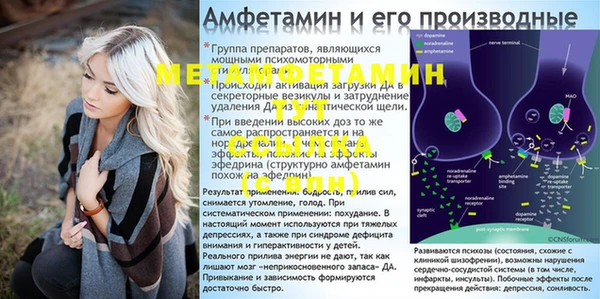ГАЛЛЮЦИНОГЕННЫЕ ГРИБЫ Богородицк