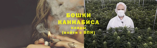 спиды Богданович