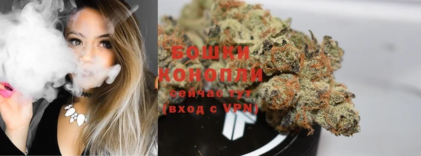 спиды Богданович