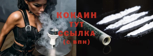 дживик Богородск