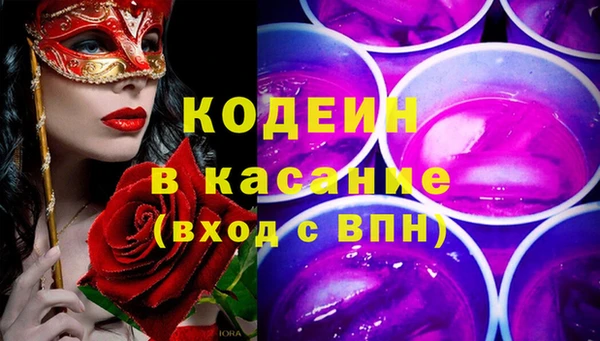 дживик Богородск