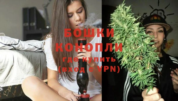 дживик Богородск