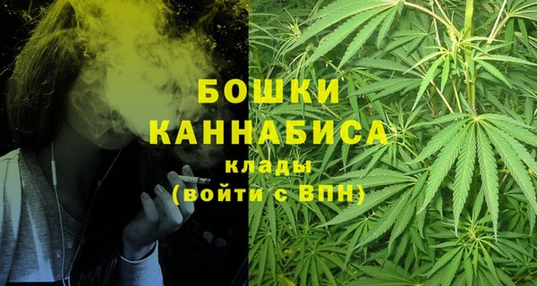 дживик Богородск