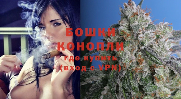 спиды Богданович