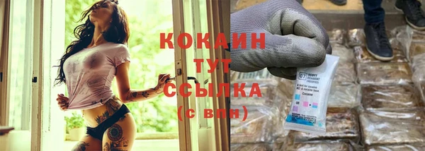 спиды Богданович