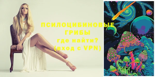 спиды Богданович