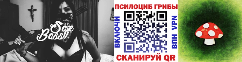 Купить  Пугачёв  Галлюциногенные грибы прущие грибы 