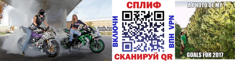 Купить  Пугачёв  МАРИХУАНА ГИДРОПОН 